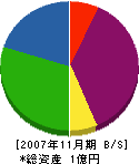 三栄緑地 貸借対照表 2007年11月期