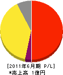 日本システムサービス 損益計算書 2011年6月期