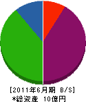 松井産業 貸借対照表 2011年6月期