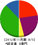 齋藤商店 貸借対照表 2012年11月期