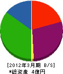 ケイ・エム・ジャパン 貸借対照表 2012年3月期