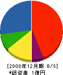 坂井製瓦工場 貸借対照表 2008年12月期