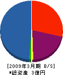 新日本ホーム 貸借対照表 2009年3月期