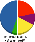 羽根川設備工事 貸借対照表 2012年3月期