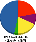 フリクト日本 貸借対照表 2011年6月期