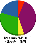 奥川商店 貸借対照表 2010年5月期