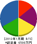 池田商店 貸借対照表 2012年1月期