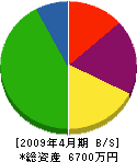 迫田建設 貸借対照表 2009年4月期