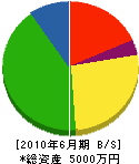 渋谷建設 貸借対照表 2010年6月期