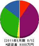 富山北研水質管理 貸借対照表 2011年6月期