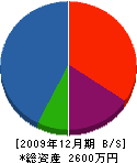佐藤板金加工所 貸借対照表 2009年12月期