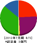丸藤 貸借対照表 2012年7月期