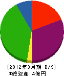 コンボルト・ジャパン 貸借対照表 2012年3月期