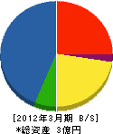 村田電氣商会 貸借対照表 2012年3月期