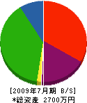 幸田建業 貸借対照表 2009年7月期