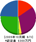 タツノ工芸 貸借対照表 2009年10月期