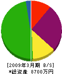 寺沢住研 貸借対照表 2009年3月期