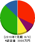 片平工務店 貸借対照表 2010年7月期