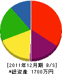 玉川土木 貸借対照表 2011年12月期 玉川土木 貸借対照表 2011年12月期