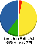 新湊防災センター 貸借対照表 2012年11月期