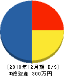 田良尾電気商会 貸借対照表 2010年12月期