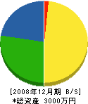 名田建設 貸借対照表 2008年12月期