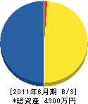 東信電気 貸借対照表 2011年6月期