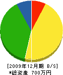 中島美装 貸借対照表 2009年12月期