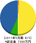 生田工務所 貸借対照表 2011年5月期