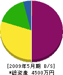 松永土建 貸借対照表 2009年5月期