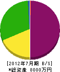 篠岡建設 貸借対照表 2012年7月期