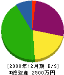 池田設備 貸借対照表 2008年12月期