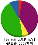 伊藤電気商会 貸借対照表 2010年12月期