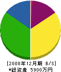 光誠社 貸借対照表 2008年12月期