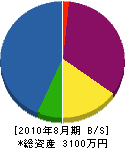細江電機 貸借対照表 2010年8月期
