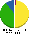 太田建設 貸借対照表 2009年12月期