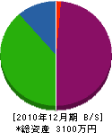 井手畳店 貸借対照表 2010年12月期