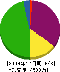 平岡畳店 貸借対照表 2009年12月期