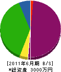 新坂建設 貸借対照表 2011年6月期
