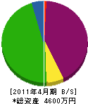 中野硝子 貸借対照表 2011年4月期