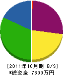 柴田石材 貸借対照表 2011年10月期