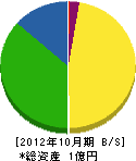 玉寿建設 貸借対照表 2012年10月期