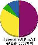 野田農機 貸借対照表 2009年10月期
