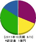 九州地盤コンサルタント 貸借対照表 2011年10月期