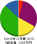 松本組建設工業 貸借対照表 2010年12月期