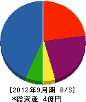竹原木材 貸借対照表 2012年9月期
