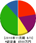 岩井住宅設備 貸借対照表 2010年11月期