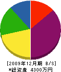 田中板金工業 貸借対照表 2009年12月期