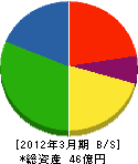 沢田工務店 貸借対照表 2012年3月期