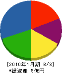 菱エステイ島本鉄工 貸借対照表 2010年1月期